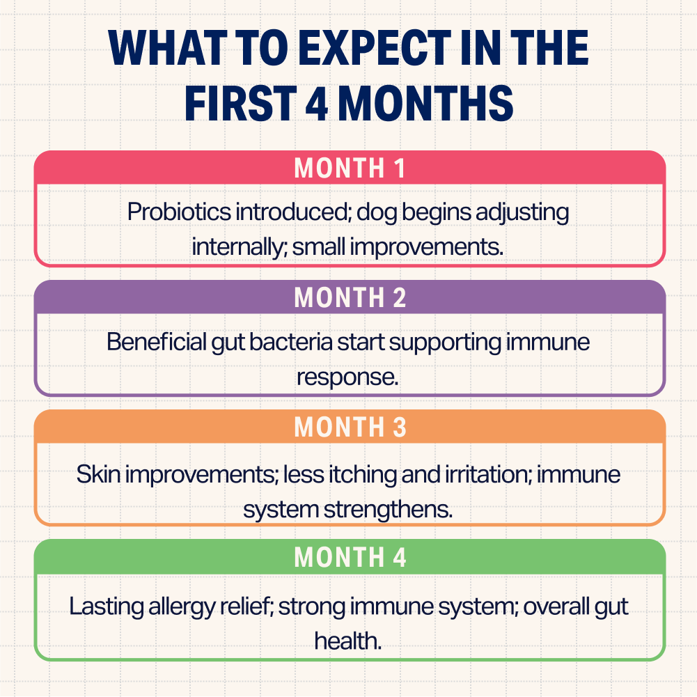 Allergy Relief – BetterWild